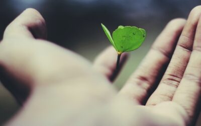 Bad is sometimes the best that can happen to you