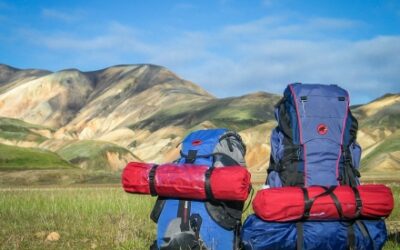 Analiza imienia Iwona