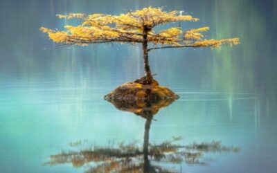 Analiza imienia Patrycja