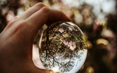 Analiza imienia Sylwia