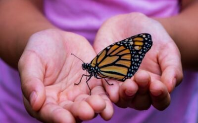 Kontrola – jak można pracować nad zaufaniem do życia?