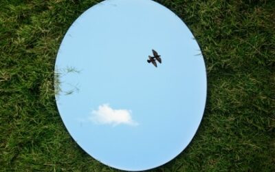 Prawo lustra – praktyka oraz podstawowe błędy.