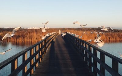 10 lekcji akceptacji, odpuszczenia i zaufania