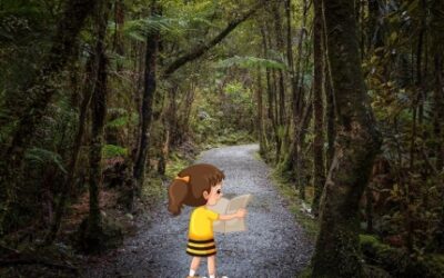 Dlaczego warto opuścić strefę komfortu?