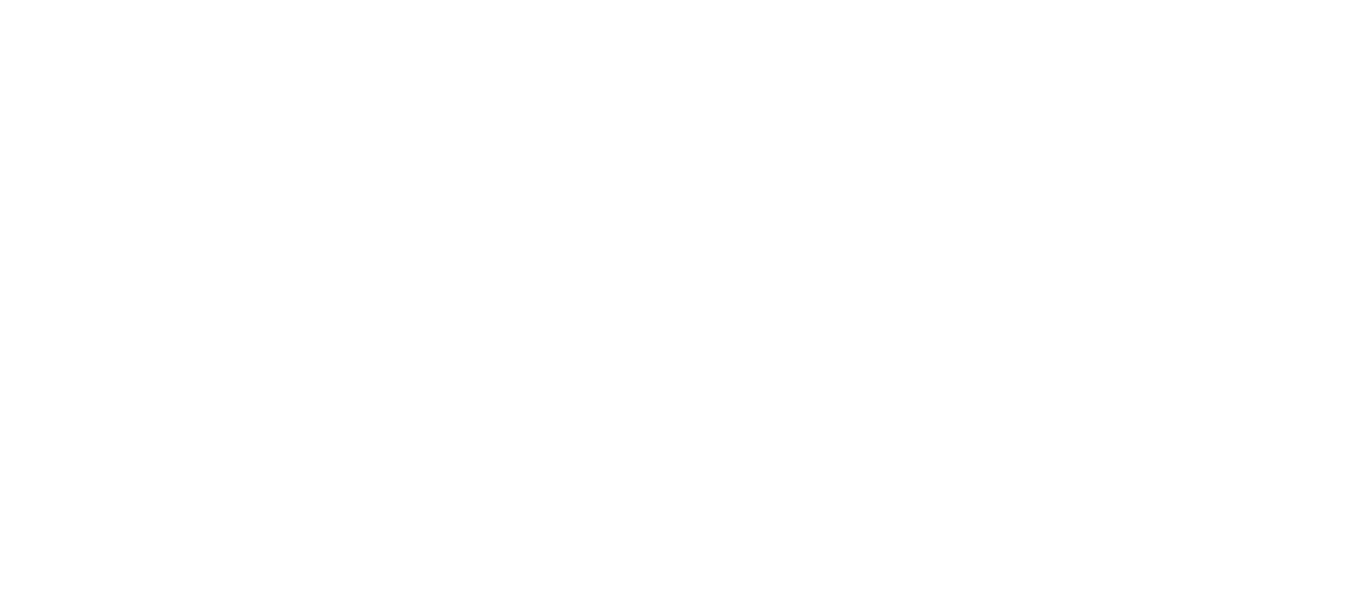 llf-logo-white-xl Logo